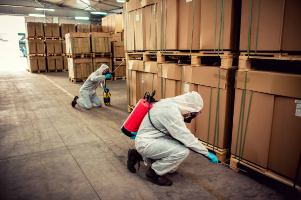 Best Affordable Pest Control Services  in Gainesboro, TN