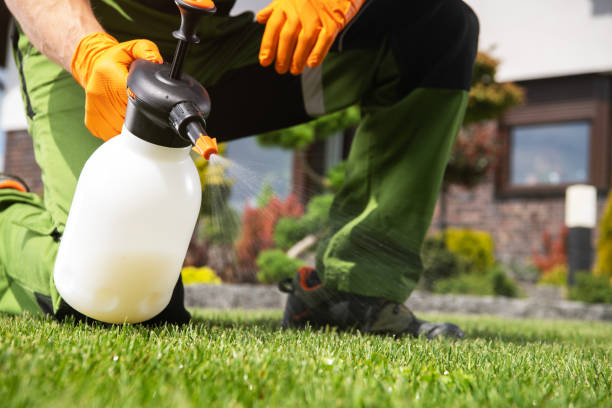 Best Emergency Pest Control  in Gainesboro, TN