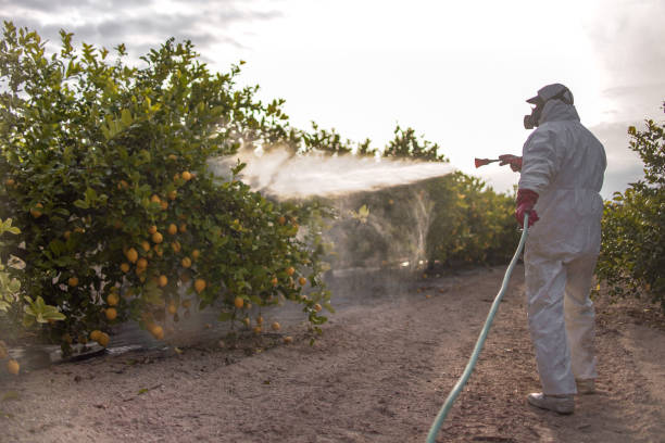 Best Pest Prevention Services  in Gainesboro, TN