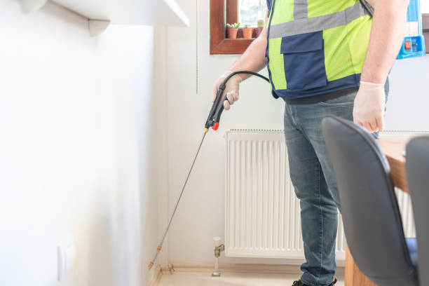 Best Rat Extermination Near Me  in Gainesboro, TN