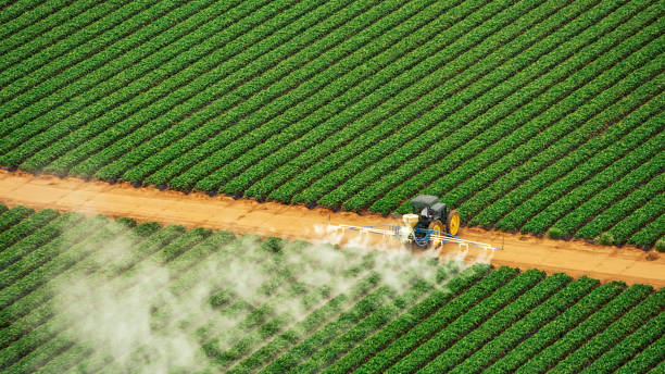 Best Pest Removal Services  in Gainesboro, TN