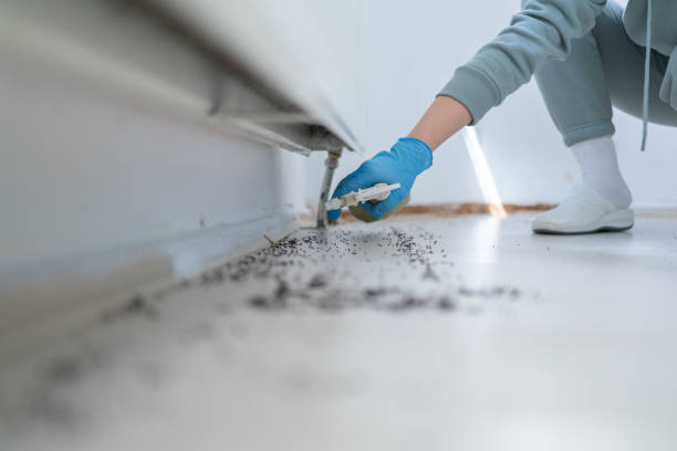 Best Flea Control Services  in Gainesboro, TN